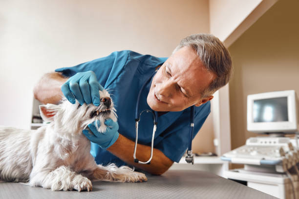 Best Emergency Dentist for Special Needs Patients in Hughestown, PA